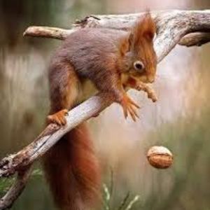 Meet your Posher, Zoe